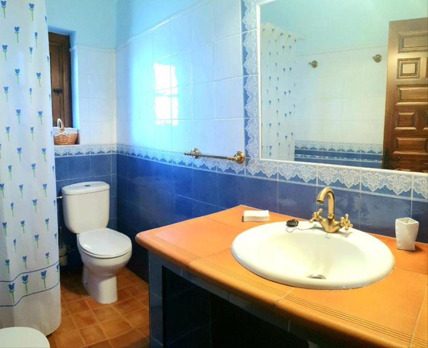 Baño con lavabo, inodoro y ducha, decorado en blanco y azul. Madera en la puerta.