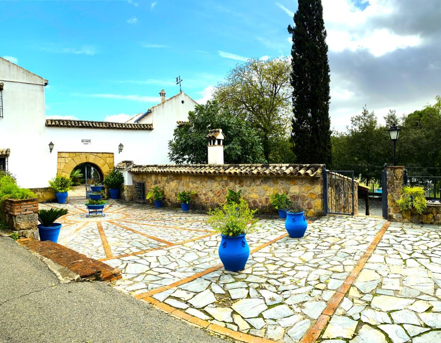 Vista de un patio con macetas azules y edificios blancos, rodeado de vegetación.