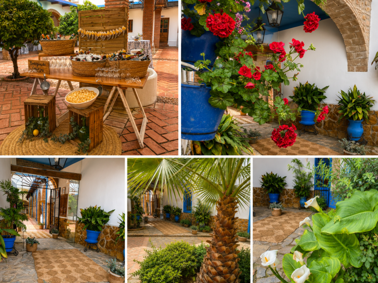 Alquiler de cortijo en Córdoba Cortijo para bodas en Córdoba Eventos en cortijo Córdoba Bodas en cortijo Córdoba Cortijo para eventos Córdoba Espacio para bodas Córdoba Lugar para eventos Córdoba Fincas para bodas Córdoba Alquiler de finca para eventos Bodas al aire libre Córdoba Celebraciones en cortijo Córdoba Cortijo con encanto Córdoba Bodas rústicas Córdoba Espacio para celebraciones Córdoba Alquiler de cortijo para bodas Eventos corporativos en cortijo Cortijo para fiestas Córdoba Bodas en finca Córdoba Alquiler de espacios para eventos Cortijo para eventos privados Córdoba